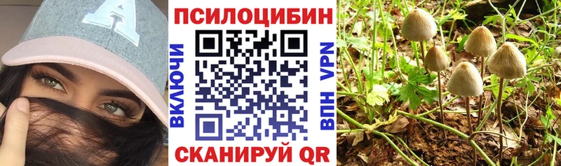 Галлюциногенные грибы Psilocybe  Боровичи 